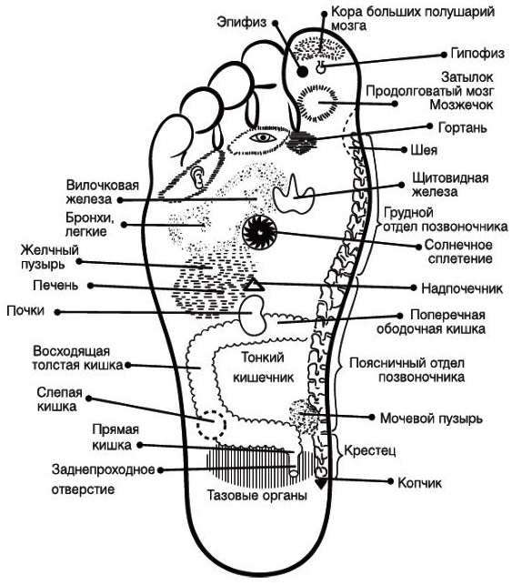 Особенности тайского массажа и чем он отличия от классического массажа?